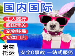 咸阳空运公司国际宠物托运 【国